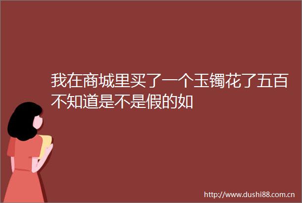 我在商城里买了一个玉镯花了五百不知道是不是假的如