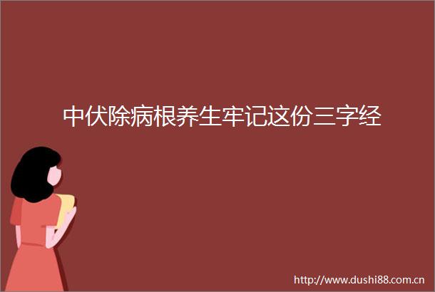 中伏除病根养生牢记这份三字经