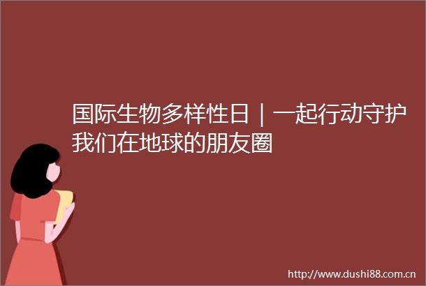 国际生物多样性日｜一起行动守护我们在地球的朋友圈