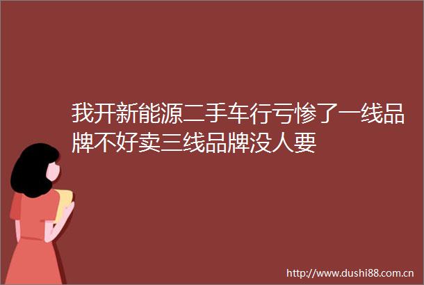 我开新能源二手车行亏惨了一线品牌不好卖三线品牌没人要