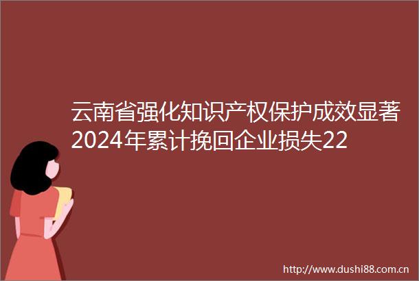 云南省强化知识产权保护成效显著2024年累计挽回企业损失2234万元