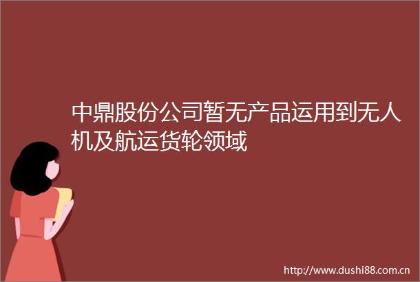 中鼎股份公司暂无产品运用到无人机及航运货轮领域