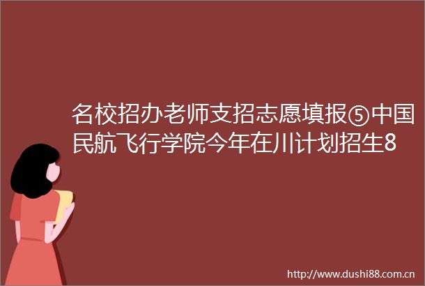 名校招办老师支招志愿填报⑤民航飞行学院今年在川计划招生861人