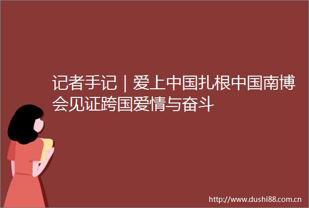 记者手记｜爱上扎根南博会见证跨国爱情与奋斗