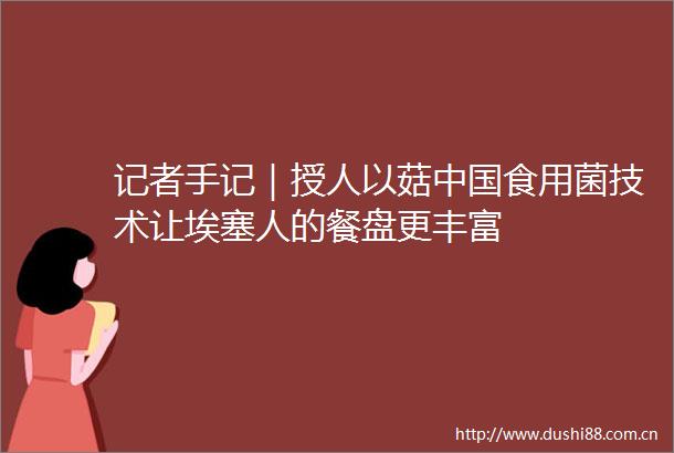记者手记｜授人以菇食用菌技术让埃塞人的餐盘更丰富