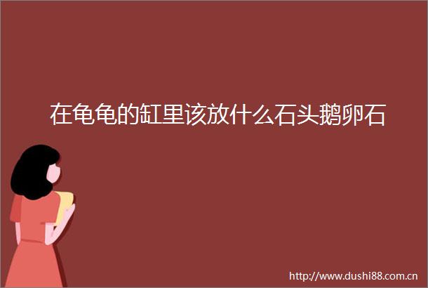 在龟龟的缸里该放什么石头鹅卵石