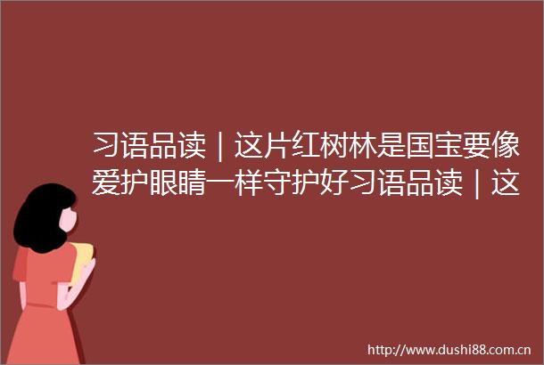 习语品读｜这片红树林是国宝要像爱护眼睛一样守护好习语品读｜这片红树林是国宝要像爱护眼睛一样守护好