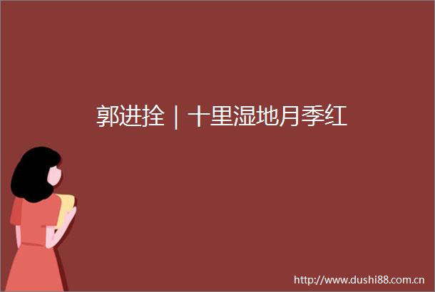 郭进拴｜十里湿地月季红