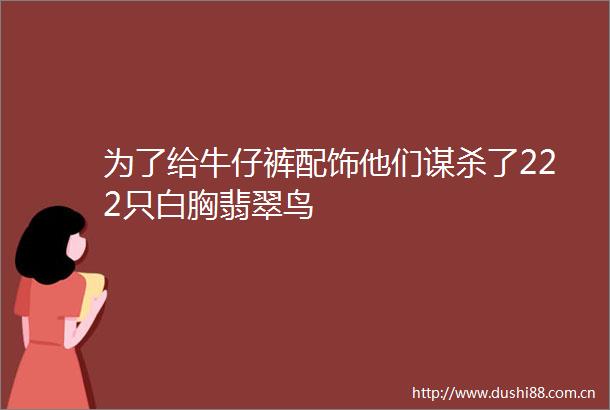 为了给牛仔裤配饰他们谋杀了222只白胸翡翠鸟