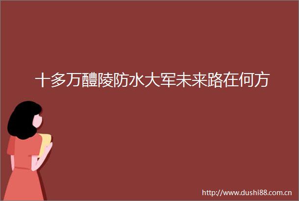 十多万醴陵防水大军未来路在何方