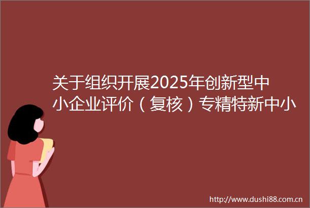 关于组织开展2025年创新型中小企业评价（复核）专精特新中小企业认定（复核）工作的通知