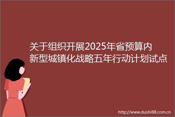 关于组织开展2025年省预算内新型城镇化战略五年行动计划试点专项项目工作的通知