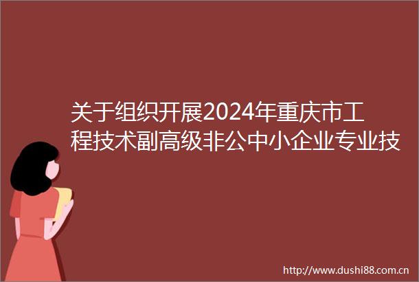 关于组织开展2024年重庆市工程技术副高级非公中小企业专业技术资格申报评审工作