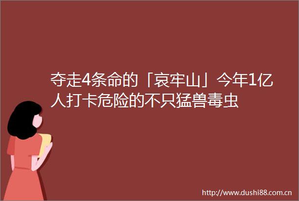 夺走4条命的「哀牢山」今年1亿人打卡危险的不只猛兽毒虫
