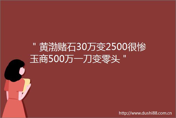 ＂黄渤赌石30万变2500很惨玉商500万一刀变零头＂