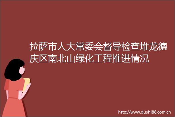 拉萨市人大常委会督导检查堆龙德庆区南北山绿化工程推进情况
