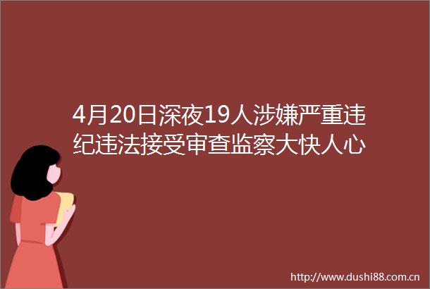 4月20日深夜19人严重接受审查监察大快人心