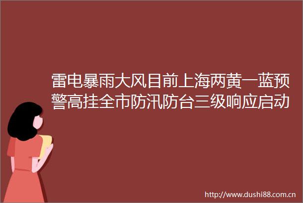 雷电暴雨大风目前上海两黄一蓝预警高挂全市防汛防台三级响应启动