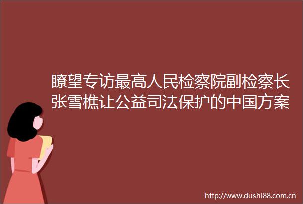 瞭望专访最高检察院副检察长张雪樵让公益司法保护的方案更加成熟定型
