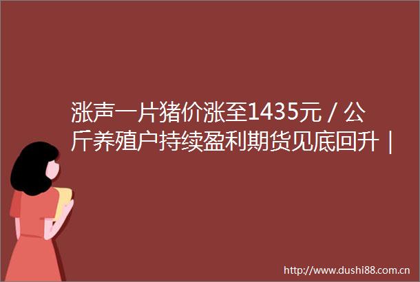 涨声一片猪价涨至1435元／公斤养殖户持续盈利期货见底回升｜大宗风云