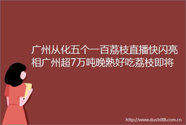 广州从化五个一百荔枝直播快闪亮相广州超7万吨晚熟好吃荔枝即将上市