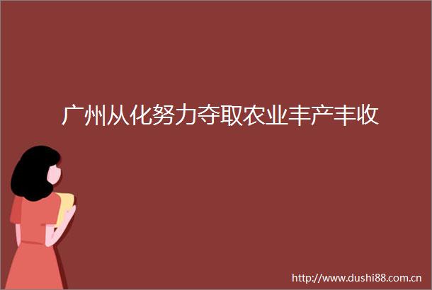 广州从化努力夺取农业丰产丰收