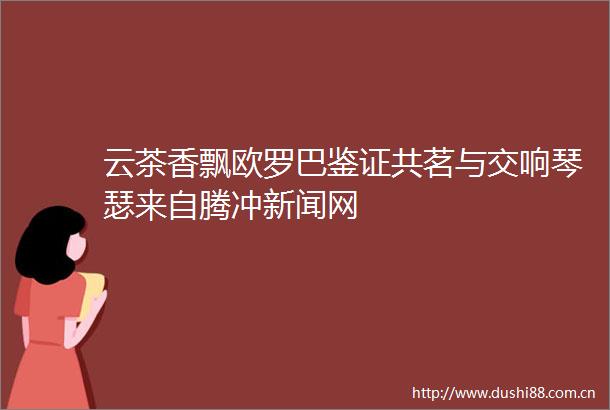 云茶香飘欧罗巴鉴证共茗与交响琴瑟来自腾冲新闻网