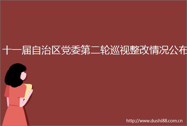 十一届自治区党委第二轮巡视整改情况公布