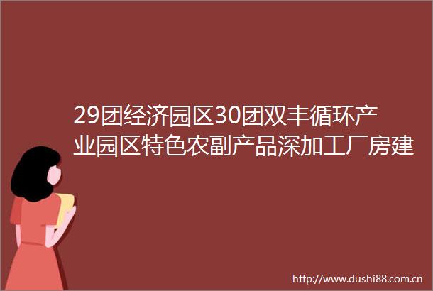 29团经济园区30团双丰循环产业园区特色农副产品深加工厂房建设项目（四期）招标公告