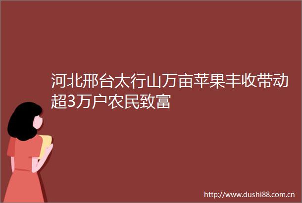 河北邢台太行山万亩苹果丰收带动超3万户农民致富