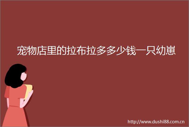 宠物店里的拉布拉多多少钱一只幼崽