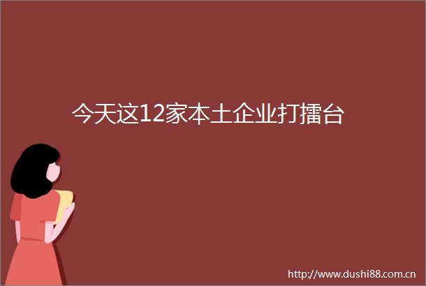 今天这12家本土企业打擂台