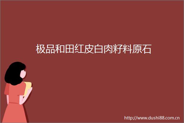 极品和田红皮白肉籽料原石
