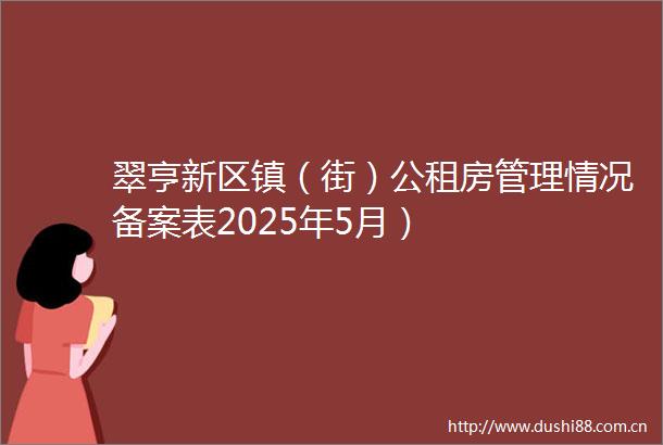 翠亨新区镇（街）公租房管理情况备案表2025年5月）