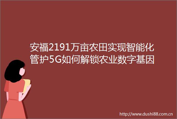 安福2191万亩农田实现智能化管护5G如何解锁农业数字基因