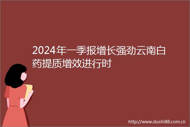 2024年一季报增长强劲云南白药提质增效进行时