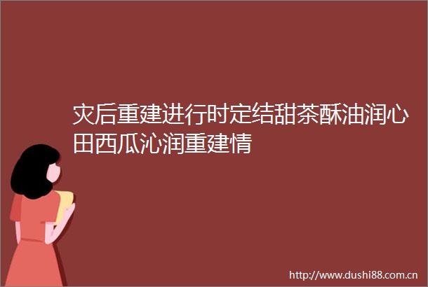 灾后重建进行时定结甜茶酥油润心田西瓜沁润重建情