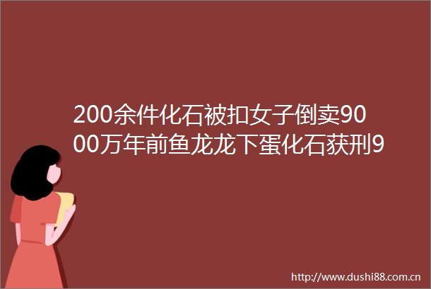 200余件化石被扣女子倒卖9000万年前鱼龙龙下蛋化石获刑9年