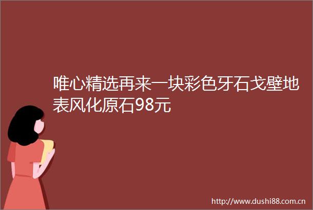 唯心精选再来一块彩色牙石戈壁地表风化原石98元