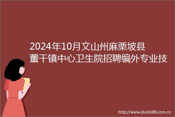 2024年10月文山州麻栗坡县董干镇中心卫生院招聘编外专业技术人员公告