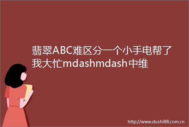 翡翠ABC难区分一个小手电帮了我大忙mdashmdash中维珠宝培训中心微课堂001