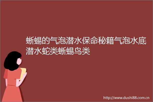 蜥蜴的气泡潜水保命秘籍气泡水底潜水蛇类蜥蜴鸟类