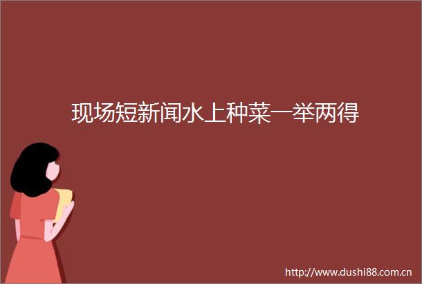 现场短新闻水上种菜一举两得