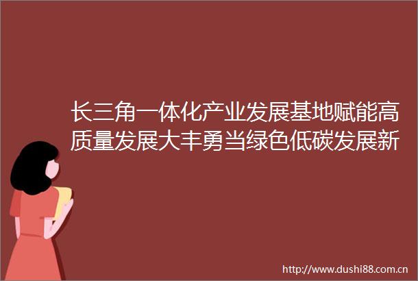 长三角一体化产业发展基地赋能高质量发展大丰勇当绿色低碳发展新赛道排头兵