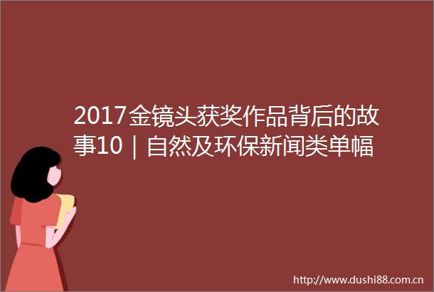 2017金镜头获奖作品背后的故事10｜自然及环保新闻类单幅