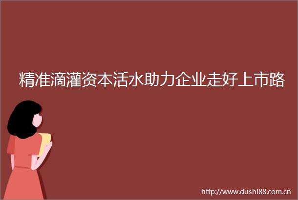 精准滴灌资本活水助力企业走好上市路