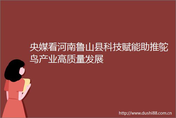 央媒看河南鲁山县科技赋能助推鸵鸟产业高质量发展