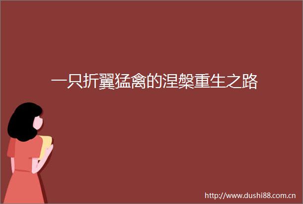 一只折翼猛禽的涅槃重生之路