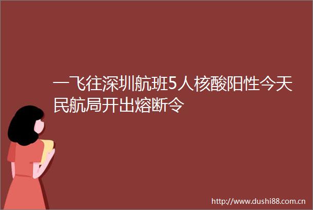 一飞往深圳航班5人核酸阳性今天民航局开出熔断令