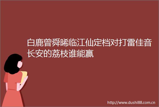 白鹿曾舜晞临江仙定档对打雷佳音长安的荔枝谁能赢